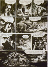 Hugues Micol - Terre de Feu T1, p11 - Planche originale