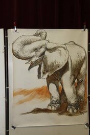 Frank Pé - Éléphant - Illustration originale