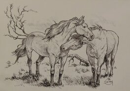 Philippe Delaby - Horses - Illustration originale