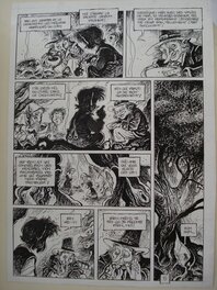 Xavier Fourquemin - Les contes de Brocéliandes - Comic Strip