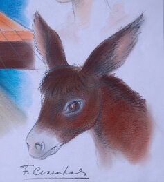 Détail - Pom. Détail - Pom.