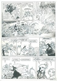 Didier Tarquin - Tarquin Lanfeust de Troy - Le Frisson de l'Haruspice - Page 8 - Planche originale
