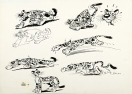 Marc Wasterlain - Le Jaguar du marsupilami - Illustration originale