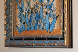 Papillons Papillons