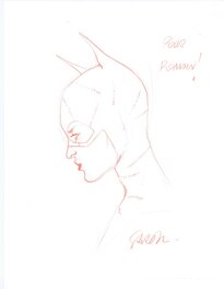 Catwoman par Pichelli