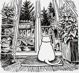 Phicil - Le chat - Illustration originale