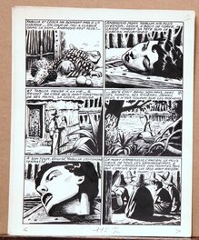 Planche 13 Planche 13
