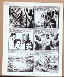 Planche 14 Planche 14
