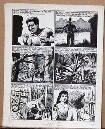 Planche 4 Planche 4