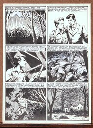 Page 5 Page 5