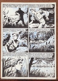 Page 8 Page 8
