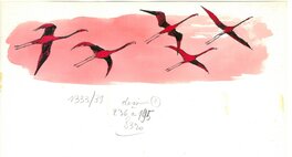 René Hausman - Flamants roses - Illustration originale