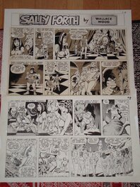 Wally Wood - Sally FORTH - Comic Strip