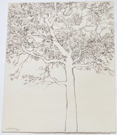 Nicolas De Crécy - Splendide Arbre fait à l'encre  sur une grande feuille - octobre 2011 - Planche originale