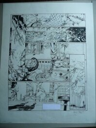 Fabrice Druet - Methraton - Planche originale