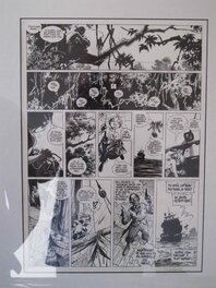 Régis Loisel - Peter Pan - Comic Strip