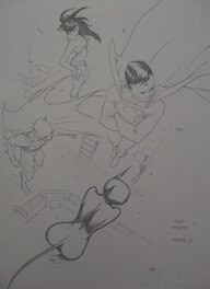 Bengal - BATMAN, SUPERMAN, WONDER WOMAN, CAT WOMAN - Original Illustration