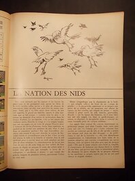 Publication. Publication.