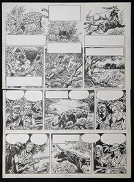 Willy Vandersteen - Safari - Planche originale