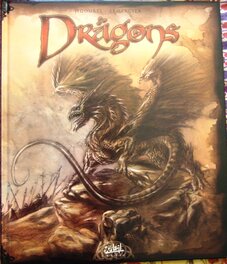 Livre Dragons