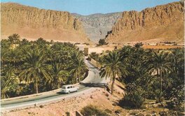 Gorges d'El Kantara - Biskra Gorges d'El Kantara - Biskra