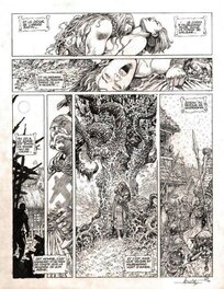 Saga Valta - Planche originale