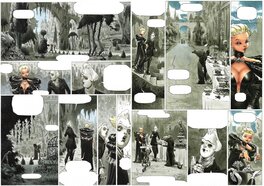 (Planches 15 et 16)