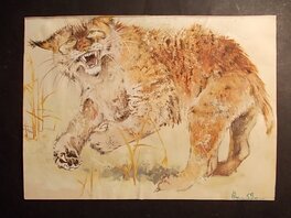 René Hausman - Spirou Nature : Le Lynx (1), 1959. - Original Illustration
