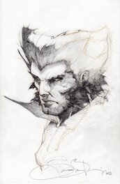 Simone Bianchi - wolverine - Illustration originale