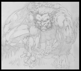 Wolverine / Logan Wolverine / Logan