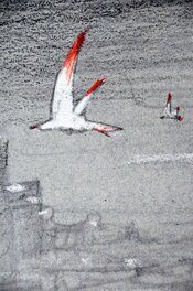Détail Détail