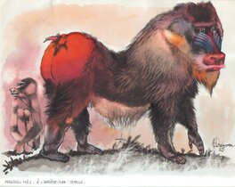 René Hausman - Hausman René - Couple de Mandrill - Planche originale