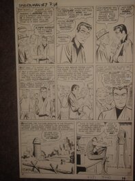 Steve Ditko - Spiderman - Comic Strip