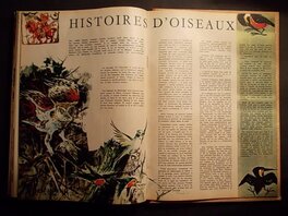 Publication. Publication.