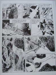 Dino Battaglia - Moby Dick - Planche originale