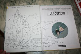 La malédiction des sept boulles vertes - La poursuite