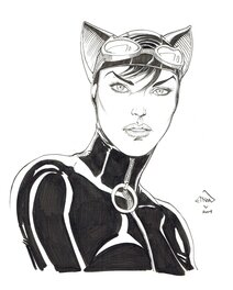 Ethan Van Sciver - Ethan van Sciver Catwoman - Planche originale