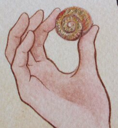 Escargot Escargot