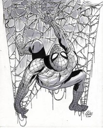 Eric Powell - Spidey - Illustration originale