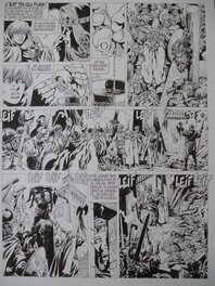Jean-Yves Mitton - Chroniques Barbares tome 1 planche 37 - Comic Strip