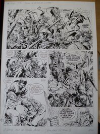 Jean-Yves Mitton - Vae Victis Tome 5 Planche 11 - Planche originale