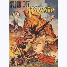 Prairie N°16 Prairie N°16