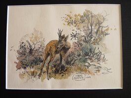 Marc-Renier - Jeune cerf - Illustration originale