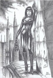 Mike Ratera - Catwoman - Illustration originale