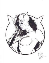 Mike Perkins - Catwoman par Perkins - Illustration originale