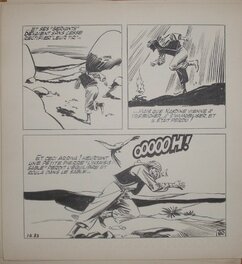 Pierre Le Goff - Le Goff nasdine hodja - Comic Strip