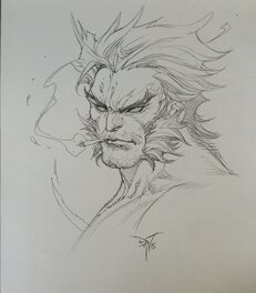 Wolverine