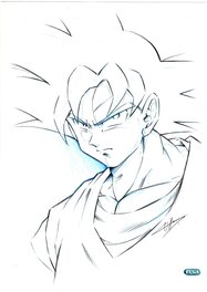 philippe d'ambrosio - Dragon ball Son goku - Original art