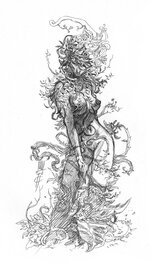 Roberto Ricci - Flora - Original Illustration