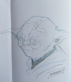 Maitre Yoda